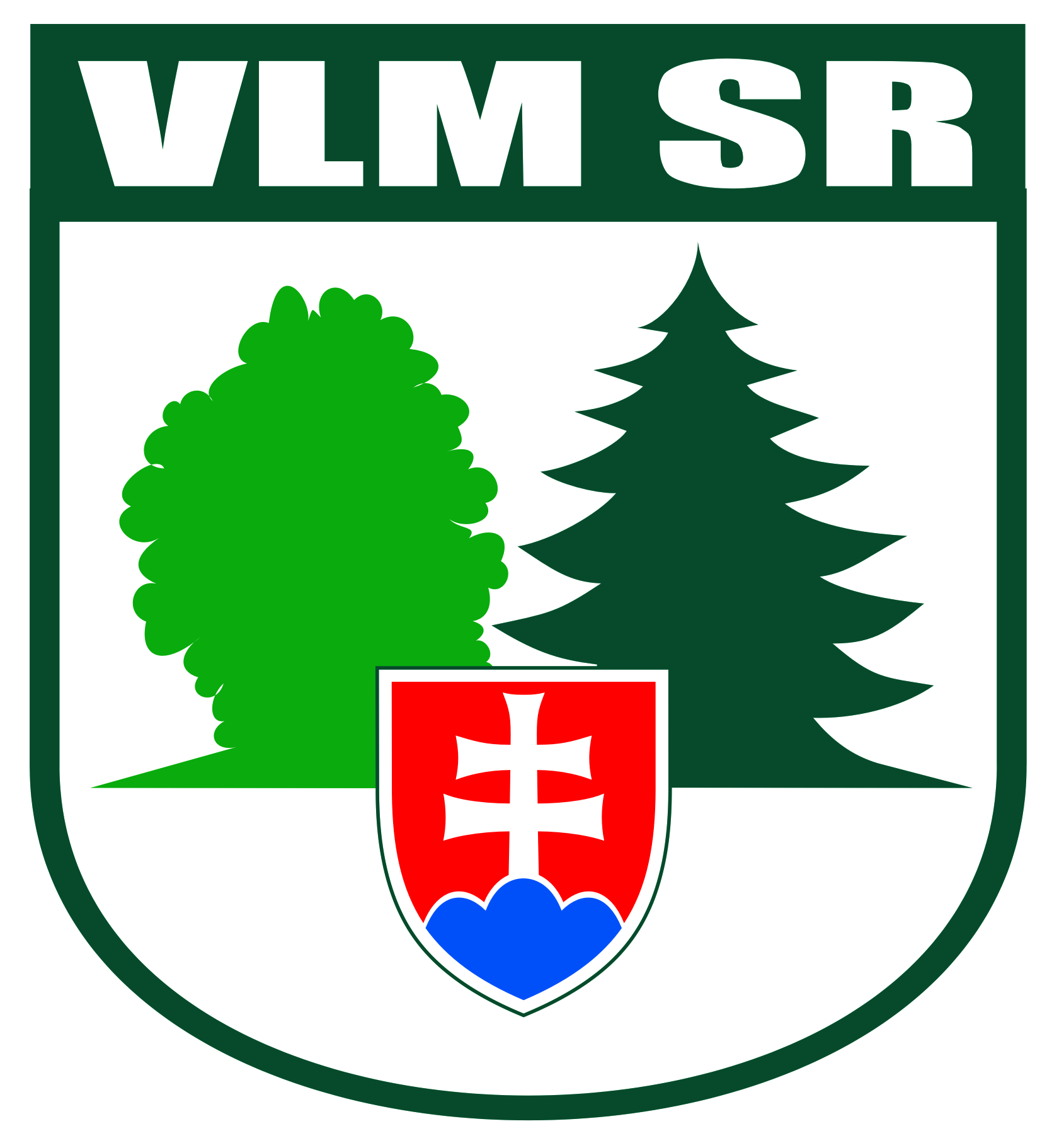 VLM lg