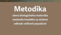 NOVÝ GEN.VÝSKUM - MEDVEĎ HNEDÝ