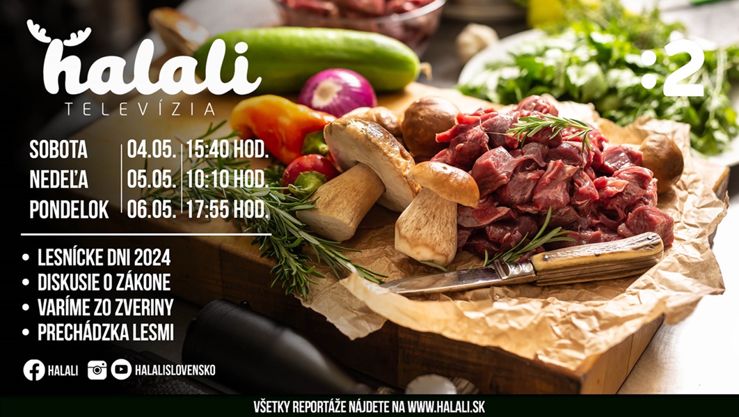 halali 2024 bigmaj