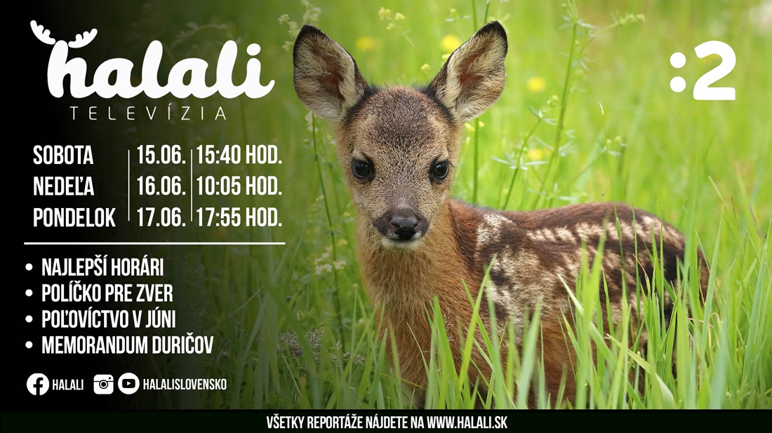 halali 2jun