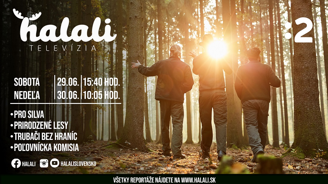 halali jun3 big